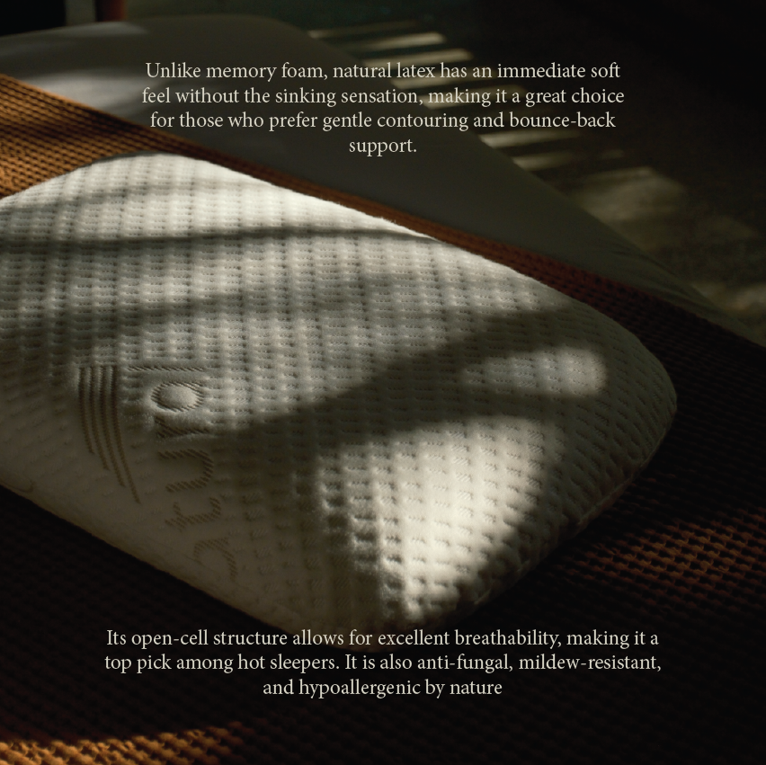 100% Natural Latex Pillow - Classic